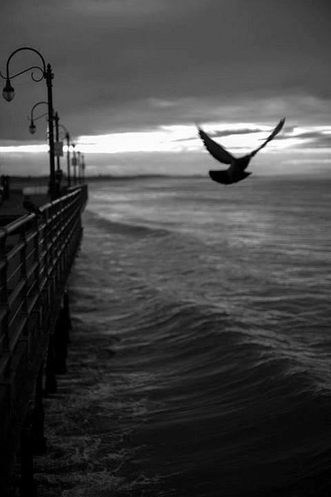 Santa Monica Pier