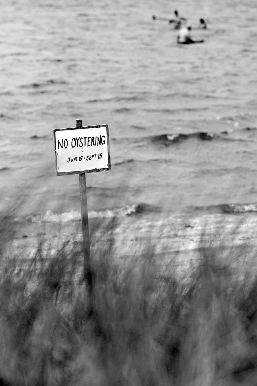 No Oystering